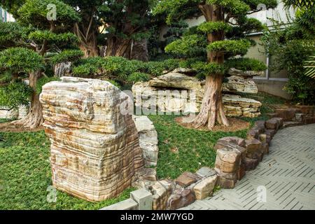 Superbe vue sur les rochers (pierre de Taihu) dans le parc de Nan Lian avec podocarpus topiaire idyllique et pins et ophiopogon japonicus comme herbe en chinois p Banque D'Images