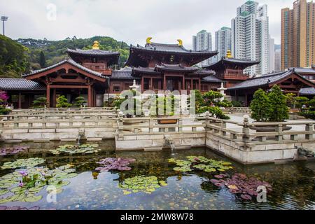 Des bonsaïs étonnants sur des stands et un étang avec des nénuphars et des pagodes bouddhistes en bois dans le jardin de Nan Lian et la montagne verte - arrière et tour de spot Banque D'Images