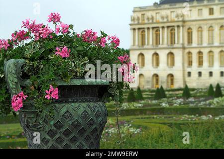 Wersal, Versailles, Francja, France, Frankreich, Un grand vase en bronze énorme sur le fond du palais; große, riesige Bronzevase; 巨大的青銅花瓶 Banque D'Images