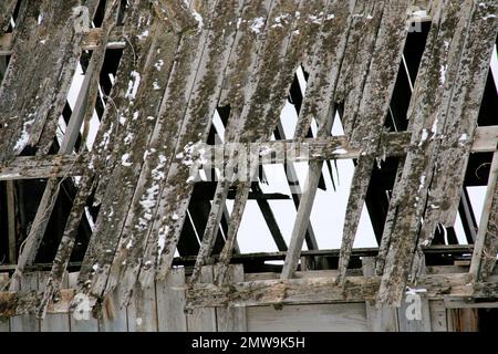 homestead pourrissant le vieux toit encadré l'hiver Banque D'Images