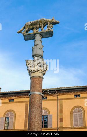 Colonne avec colonne Corinthienne capitale sur la piste de la cathédrale de Sienne avec Capitoline elle-loup suckling frères Romus et Remulus, Sienne, Toscane Banque D'Images