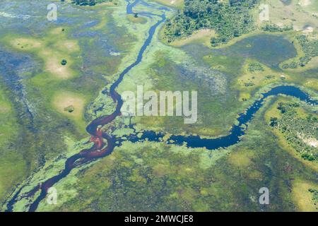 Vue aérienne du système fluvial dans le delta de l'Okavango, Botswana Banque D'Images