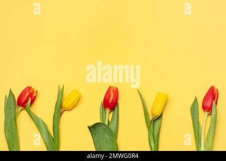 Belles fleurs de tulipe sur fond jaune. Bonjour printemps Banque D'Images