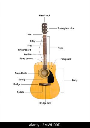 Gros plan de guitare acoustique avec les noms de ses parties sur fond blanc, concept d'instrument musical Banque D'Images