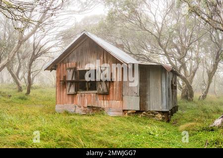 Une hutte en bois abandonnée dans une forêt de gommes à neige en brouillard sur le mont Hotham, Victoria, Australie Banque D'Images