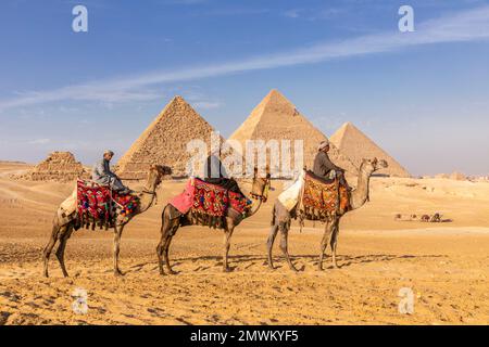Pyramides de Gizeh avec chameaux au coucher du soleil, le Caire, Egypte Banque D'Images