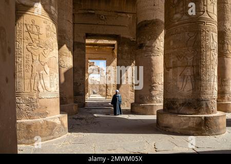 Garde de Temple au temple de Kom Ombo, Assouan, Égypte Banque D'Images