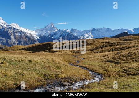 Un ruisseau alpine serpente à travers le paysage au-dessus de la ligne de treeline avec des pics enneigés au loin Banque D'Images