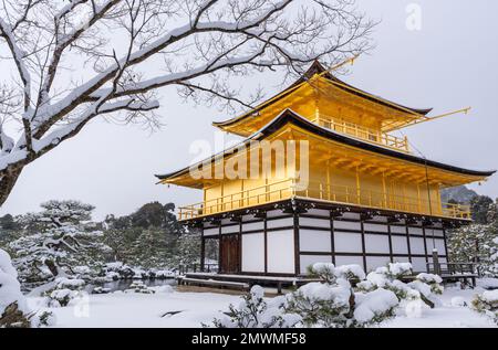 Temple Kinkaku-ji enneigé en hiver. Célèbre attraction touristique de Kyoto, Japon. Le Pavillon d'or, Kinkakuji, rokuon-ji, rokuon-ji. Paysage enneigé. Banque D'Images