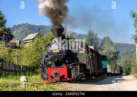 Locomotive à vapeur Mocanita de Viseu de sus, Carpates, Roumanie Banque D'Images