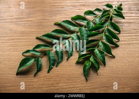 Feuilles de curry sur fond de bois. Banque D'Images