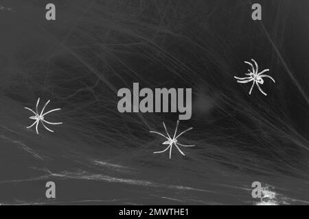 Concept de fond d'Halloween ou d'horreur. Araignées et toiles d'araignée sur fond noir foncé. Mise au point sélective. Copier l'espace Banque D'Images