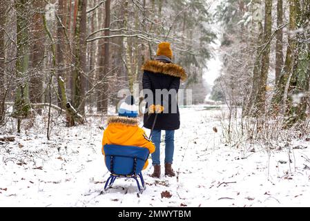 Une femme tire un garçon sur un traîneau à travers la neige dans la forêt. Banque D'Images