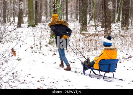 Une femme tire un garçon sur un traîneau à travers la neige dans la forêt. Banque D'Images