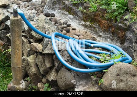 Dévidoir de tuyau pour arroser les plantes dans le jardin. Banque D'Images