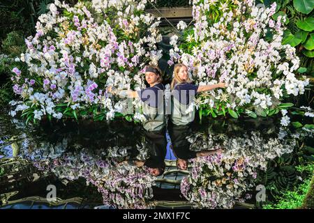 Londres, Royaume-Uni. 02nd févr. 2023. Les horticulteurs Charles Hunt et Anja Seymour tendent à une belle exposition d'orchidées blanches. Le festival annuel d'orchidées Kew Garden au Conservatoire Princess of Wales fêtera cette année la beauté et la biodiversité du Cameroun avec des milliers d'orchidées colorées et des centaines de plantes tropicales. Le festival se déroule du 4th février au 5th mars. Credit: Imagetraceur/Alamy Live News Banque D'Images