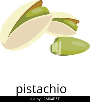 Noix vert pistache en coquille. Colorer l'icône des aliments Illustration de Vecteur