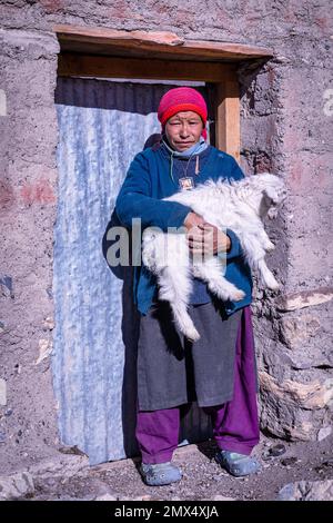 Femme avec à la chèvre, Photoksar, Ladakh, Inde Banque D'Images