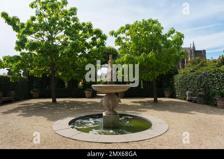 Une fontaine dans la cour de gravier ouverte avec des haricots indiens ou le bignonioide de Catalpa qui mène au jardin d'Earl Collector à Arundel Castle, à l'ouest Banque D'Images