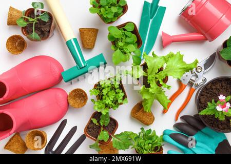 Le concept du travail de printemps et du jardinage. Outils et plantes sur la table. Banque D'Images