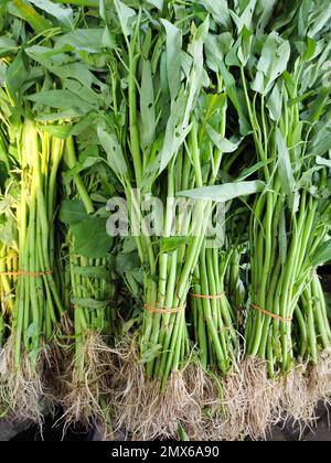 Légumes, pile d'eau d'épinard ou Ipomoea Aquatica vendre au marché frais. Banque D'Images