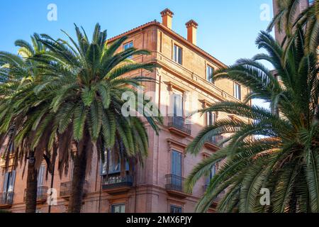 Bâtiments résidentiels extériours décorés dans la ville de Malaga, Andalousie, Espagne avec des palmiers , Banque D'Images