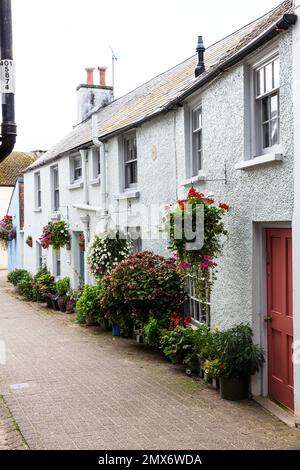 Voie étroite à Tenby, Pembrokeshire, pays de Galles, maisons, maisons, terrasse, maisons en terrasse, fleurs, vie, vie, Tenby pays de Galles, Tenby Royaume-Uni, tenby, Banque D'Images