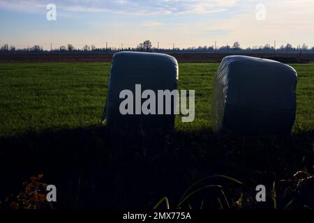 Couvrir les balles de foin par le bord d'un champ au coucher du soleil Banque D'Images