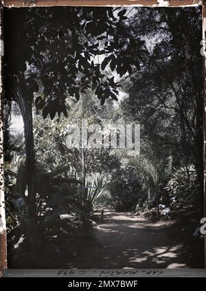 Cap Martin , France , 1921 Cap Martin, Italie, Cap Martin - Auguste Léon (fév. -Avril) Banque D'Images