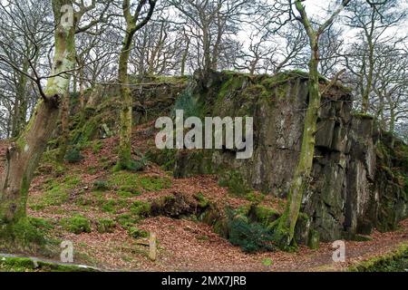 Le Parc Bach (Little Park) de Llanberis, au pays de Galles, est une partie encore en vie d'un jardin gallois, royal, médiéval près de l'Hôtel Royal Victoria. Banque D'Images