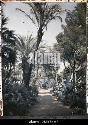 Cap Martin , France , 1921 Cap Martin, Italie, Cap Martin - Auguste Léon (fév. -Avril) Banque D'Images