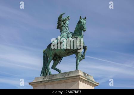 France, Versailles, Panorama du célèbre château de Versailles près de la porte royale d'or où les visiteurs font la queue à l'entrée du c Banque D'Images