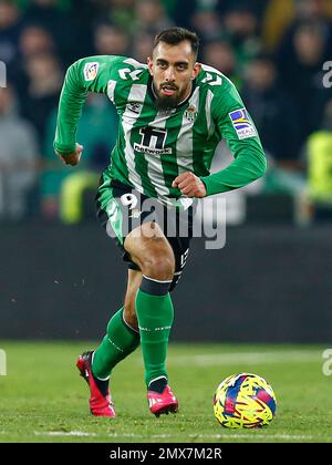 Borja Iglesias de Real Betis pendant le match de la Liga, date 17, entre Real Betis et le FC Barcelone joué au stade Benito Villamarin sur 01 février 2023 à Séville, Espagne. (Photo par Antonio Pozo / PRESSIN) Banque D'Images