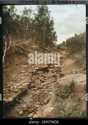 Entre Kiakhta et Orga, Transbaïkalie, Mongolie un cours d'eau , 1913 - Mongolie - Stéphane Passet - (6-25 juillet) Banque D'Images