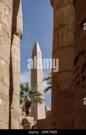 Obélisque de Pharaon Hatshepsut vue à travers les colonnes, Temple Karnak, Louxor, Egypte Banque D'Images