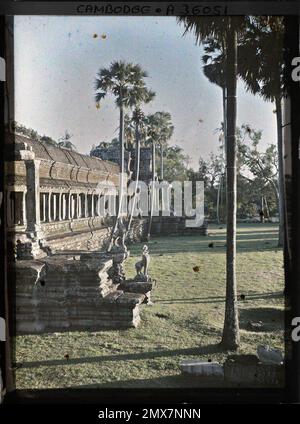 Angkor, Cambodge, Indochine segment de la galerie permanente rectangulaire formant la base du temple-montagne , Léon occupé en Indochine Banque D'Images