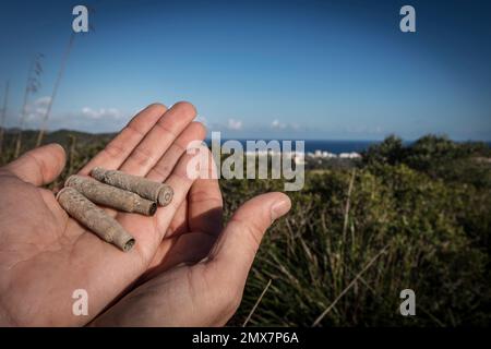 Punta de ses Talaies, centre du champ de bataille, son Carrio, lieu de la bataille de majorque, son Servera, Majorque, Iles Baléares, Espagne Banque D'Images