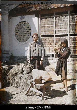 DAP-crumb, bac-ninh, tonkin, Indochine le battage du riz après la récolte devant la pagode dap-cauu , Léon occupé en Indochine Banque D'Images