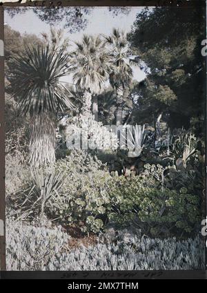 Cap Martin , France , 1921 Cap Martin, Italie, Cap Martin - Auguste Léon (fév. -Avril) Banque D'Images