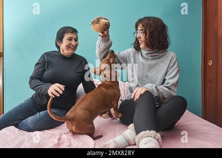 Mère et fille gaies dans des vêtements décontractés jouant avec le joli chien de dachshund sur le lit à la maison Banque D'Images