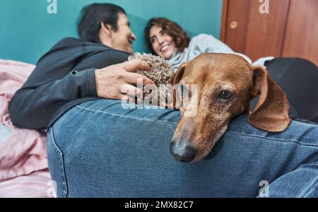 Mère et fille gaies dans des vêtements décontractés jouant avec le chien de dachshund mignon couché sur le lit à la maison Banque D'Images