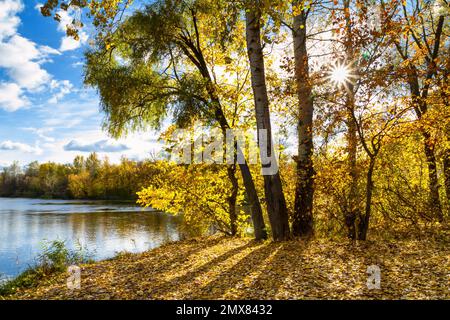 Magnifique paysage d'automne - vue de la rive de la rivière des Donets de Siverskyi, au nord-est de l'Ukraine Banque D'Images