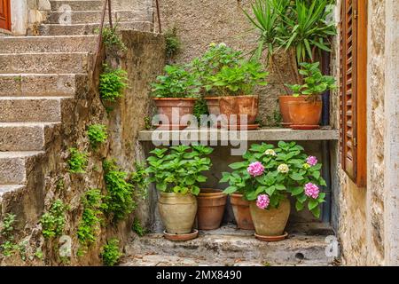Paysage urbain d'été méditerranéen - fragment d'une rue médiévale avec des escaliers dans la vieille ville de Dubrovnik sur la côte de la mer Adriatique de Croatie Banque D'Images