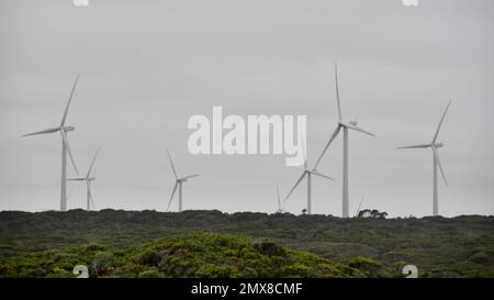 Le parc éolien situé sur la côte victorienne en Australie possède de nombreuses éoliennes au sujet du gommage en forme de théière, générant de l'énergie verte et de l'énergie électrique Banque D'Images