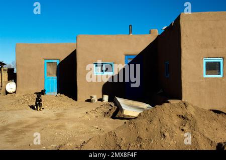 Chiens assis dans une maison traditionnelle en adobe dans la réserve amérindienne de Taos Pueblo, l'une des plus anciennes communautés habitées en permanence aux États-Unis Banque D'Images