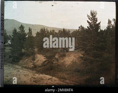 Entre Kiakhta et Orga, Transsaïkalie la Taiga , 1913 - Mongolie - Stéphane Passet - (6-25 juillet) Banque D'Images