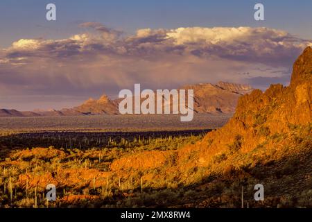 Coucher de soleil, vallée de Sonoyta, montagnes Ajo, Monument national de Organ Pipe Cactus, Arizona Banque D'Images