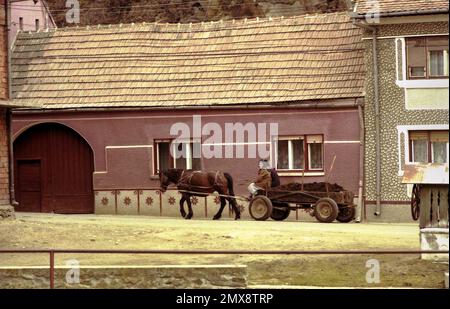 Sibiu Comté, Roumanie, environ 1999. Villageois dans un chariot tiré par des chevaux rempli de fumier. Banque D'Images