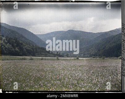 Sewen, Haut-Rhin, Alsace, France la Doller. Montgolfière Alsace , 1917 - Alsace - Paul Castelnau (section photographique des armées) - (juin) Banque D'Images