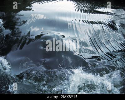 Magnifique ruisseau d'eau, fond naturel en gros plan Banque D'Images